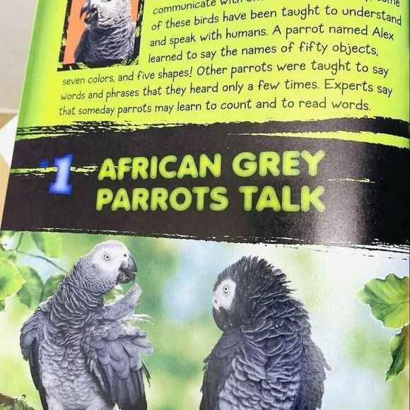 101 ANIMAL SUPERPOWERS Discover Which Creatures Have Coolest Tricks - Picture 3 of 6